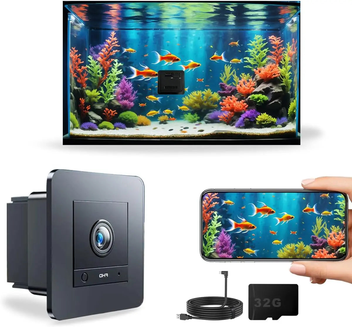 2K HD Aquarium & Terrarium Camera w/ Night Vision, Audio & 32GB Card - BIG FRENCHIES
