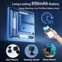 2K HD Aquarium & Terrarium Camera w/ Night Vision, Audio & 32GB Card - BIG FRENCHIES