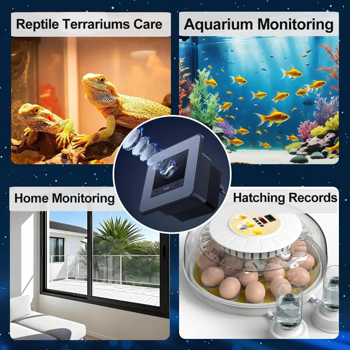 2K HD Aquarium & Terrarium Camera w/ Night Vision, Audio & 32GB Card - BIG FRENCHIES
