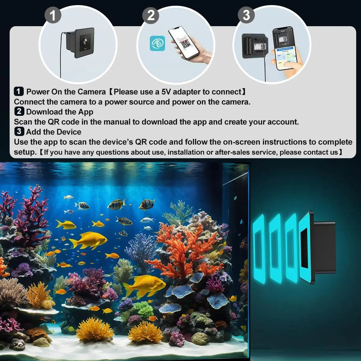 2K HD Aquarium & Terrarium Camera w/ Night Vision, Audio & 32GB Card - BIG FRENCHIES