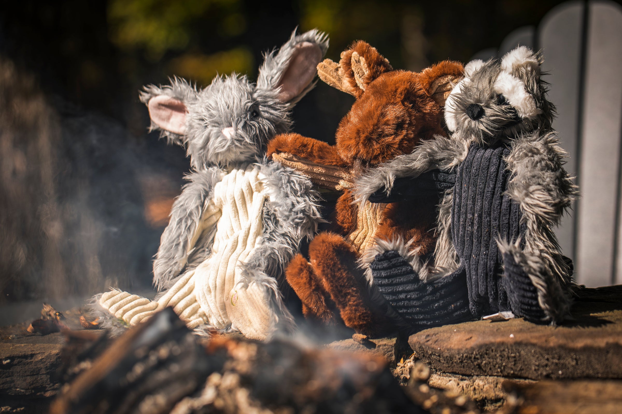 Redwood Raccoon X-Brace™ Plush Dog Toy - BIG FRENCHIES