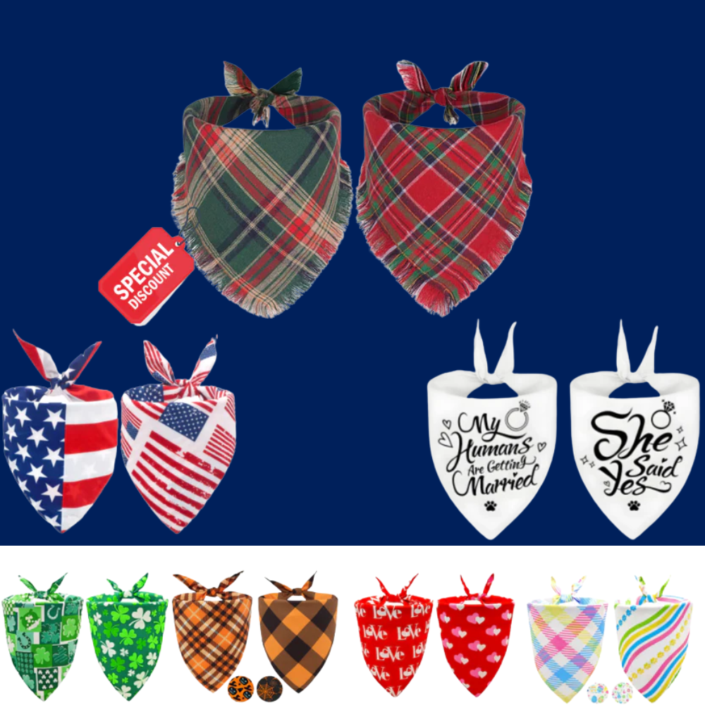 2PCS Christmas Dog Bandanas – Red and Green Plaid with Tassels - BIG FRENCHIES