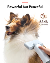 HomeRunPet Dog Dryer, Pet Hair Dryer with 99 Adjustable Wind Speed and Temperature Control, 3 Different Nozzles, Quiet Blow Dryer, Professional Pet Hair Drying for Dogs