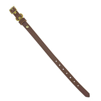 Plain Leather Dog Collar - BIG FRENCHIES