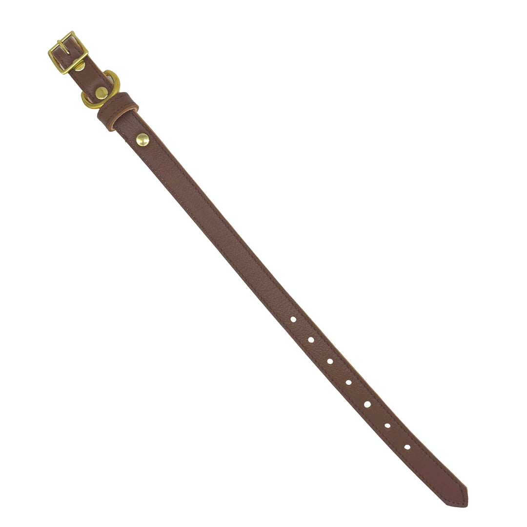 Plain Leather Dog Collar - BIG FRENCHIES