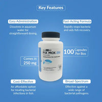 Fish Mox 250mg Capsules for Aquarium Fish – Water Care Support