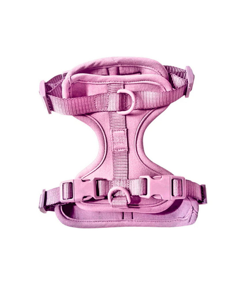 Harness-Pet Collars & Harnesses-BIG FRENCHIES-Come Here Buddy