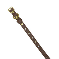 Plain Leather Dog Collar - BIG FRENCHIES
