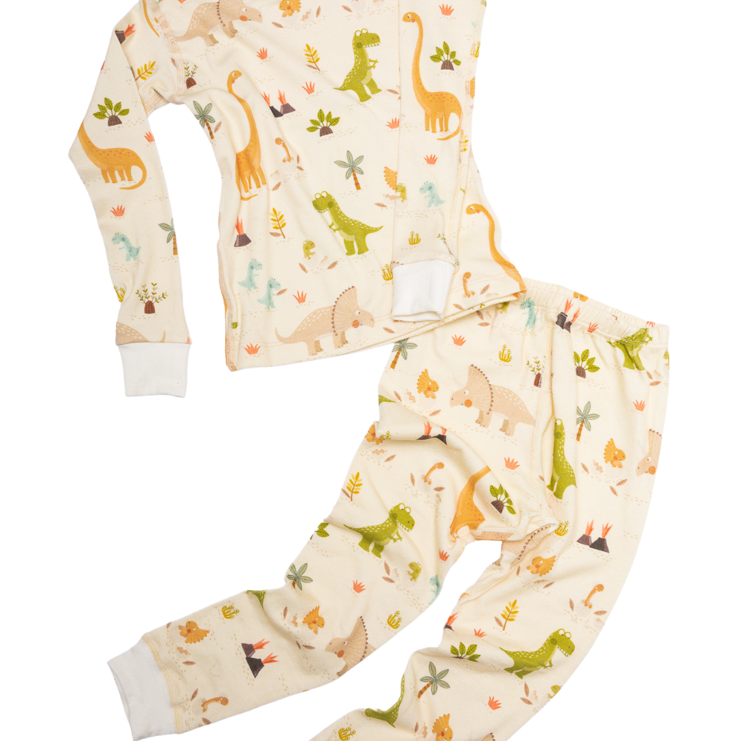 Dinosaur Organic Cotton Pajamas - BIG FRENCHIES