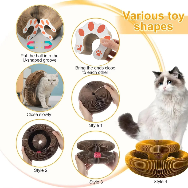 Magic Cat Scratch Toy with Ball – Round Corrugated Claw Board Toy - BIG FRENCHIES