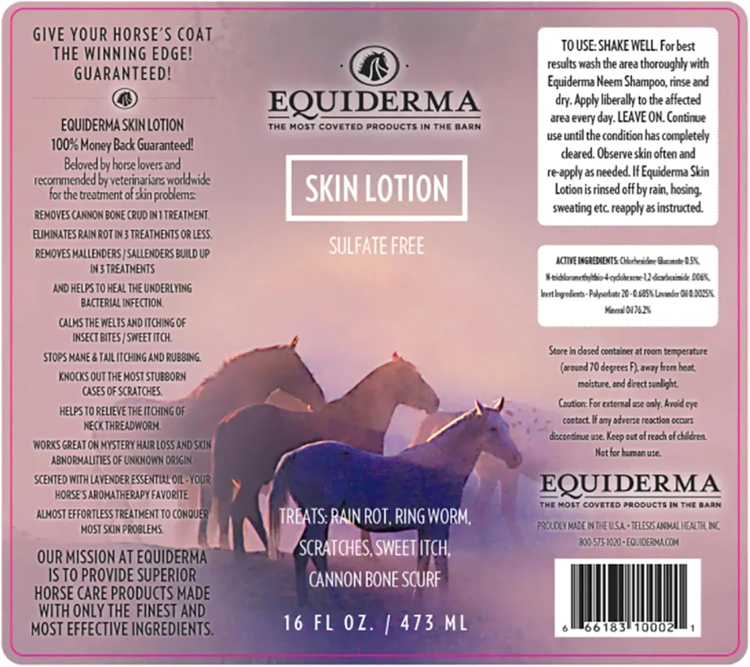 Horse Equiderma Equine Skin Care Lotion Rain Rot & 16 Oz.