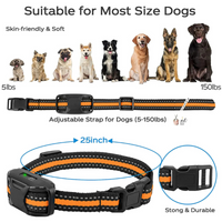 Dog Training Collar with Remote and Vibration Modes - BIG FRENCHIES