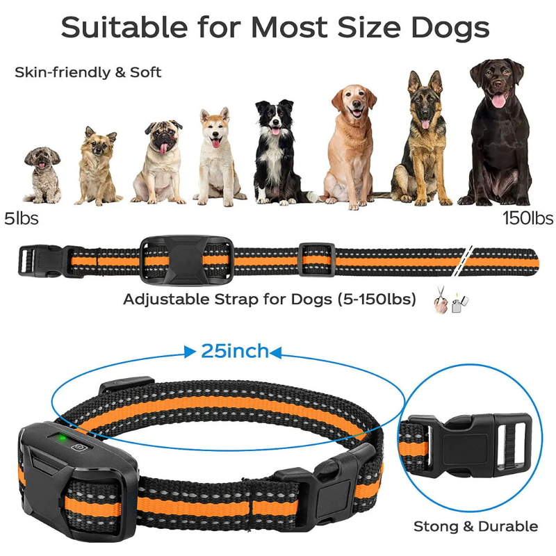 Dog Training Collar with Remote and Vibration Modes - BIG FRENCHIES
