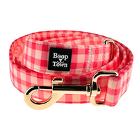 Dog Leashes