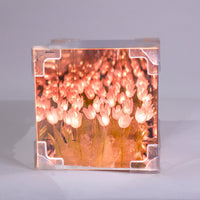 Tulip Mirror LED Night Light - Pink - BIG FRENCHIES