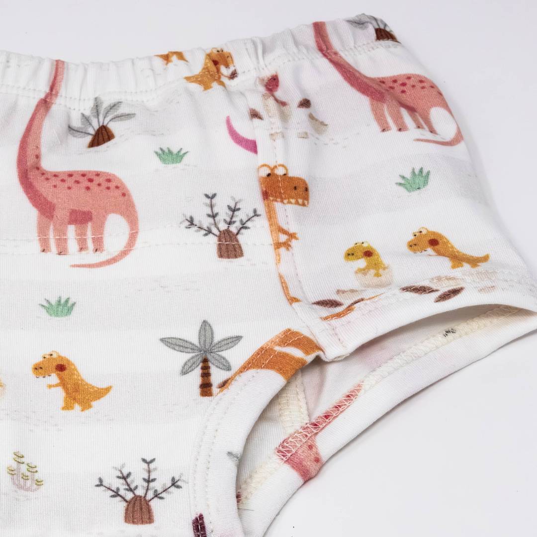 Rose Dinosaur Family Potty Training Pants - BIG FRENCHIES