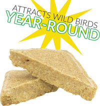 C&S Berry Suet Treat Bird Cake 11.75 oz & Large Suet Basket Feeder Combo