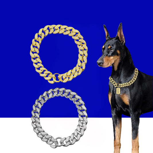 Dog Chain Collar for Your Confident Pet | Stylish & Strong - BIG FRENCHIES