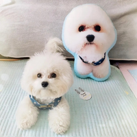 Custom Photo Pet Pillow – Personalized Dog & Cat Picture Cushion - BIG FRENCHIES