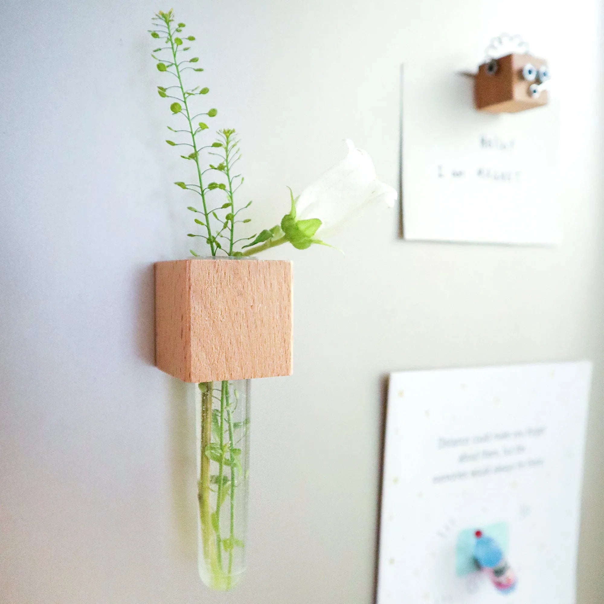 Mini Vase Magnets – Set of 2 – Beech & Walnut Wood – Decorative Fridge Magnets for Small Flowers or Greenery - BIG FRENCHIES