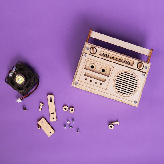 60 Seconds Voice Recorder DIY Kit, Educational STEM Toy - BIG FRENCHIES