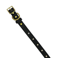 Plain Leather Dog Collar - BIG FRENCHIES