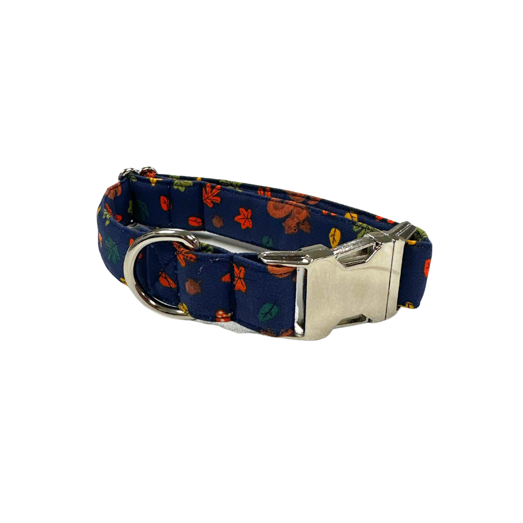 Fallin' Squirrely collar