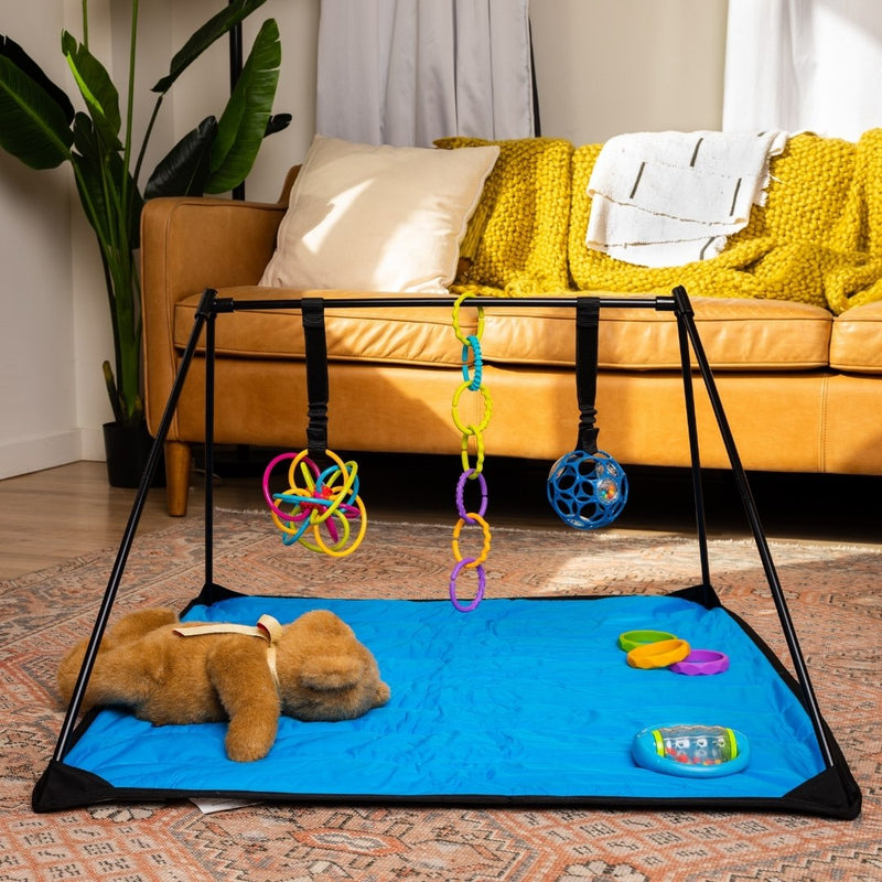 Lay and Play Adventure Mat – BIG FRENCHIES