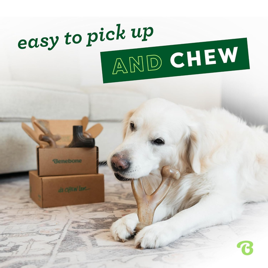 4-Pack Dog Chew Toys for Aggressive Chewers, Made in USA, 60lbs and Under - BIG FRENCHIES