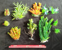 Premium Artificial Aquarium Plant Package for Fish Tank, Small Garden