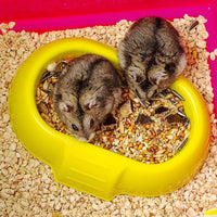 Laura Small Hamster Cage | Fun & Interactive Cage Measures 18.11L X 11.61W X 14.8H & Includes All Accessories - BIG FRENCHIES