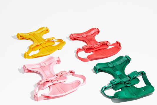 Luxe Harness - Palma