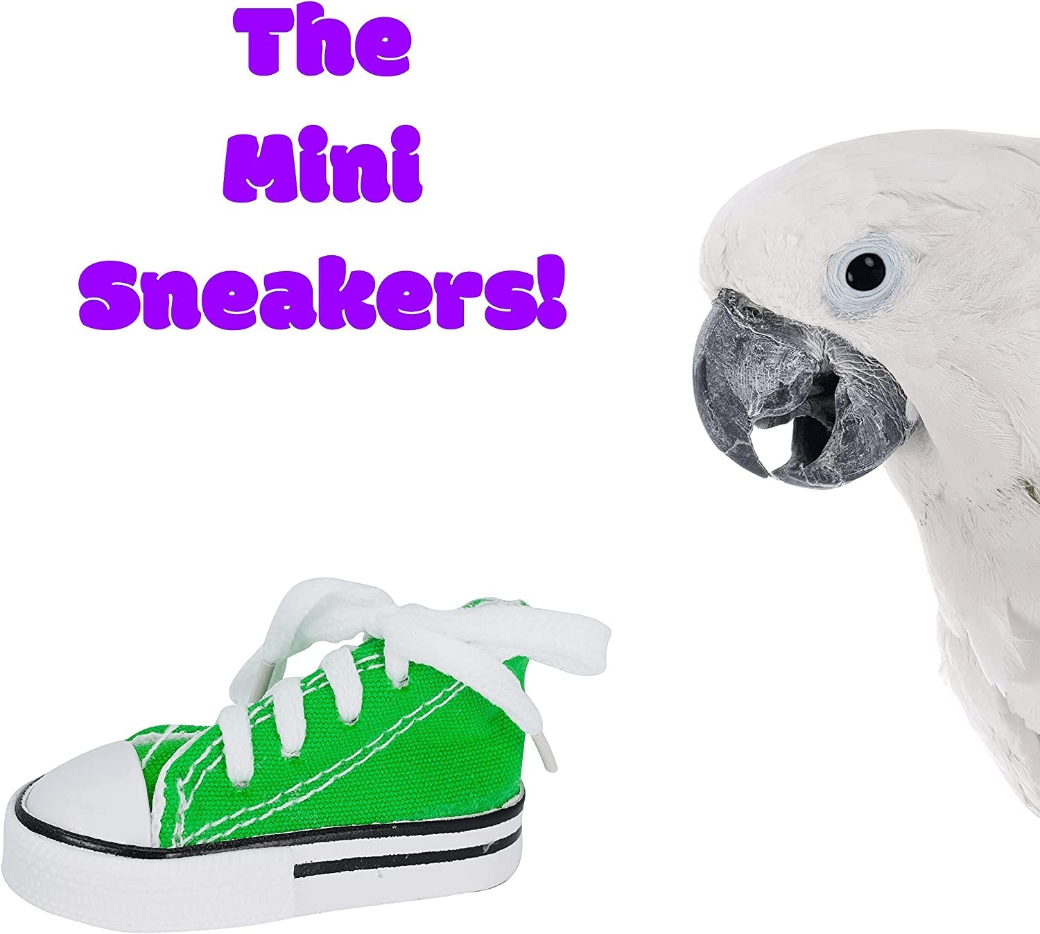 12 Mini Sneakers Foot Beak Parrot Parrotlet Quaker Budgie Finch Conure Cockateil - BIG FRENCHIES