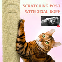 flower cat tree with large condo removable flower cushion and hammock pink