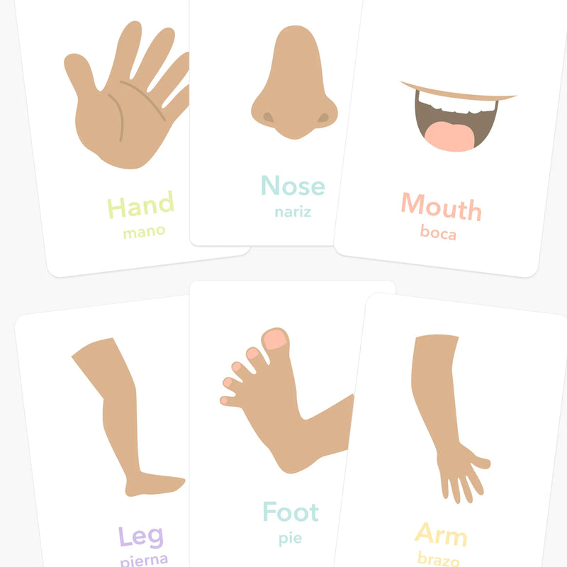 Body Parts Flashcards - BIG FRENCHIES