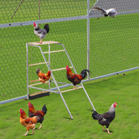 103x50x100cm Outdoor Chicken Perch