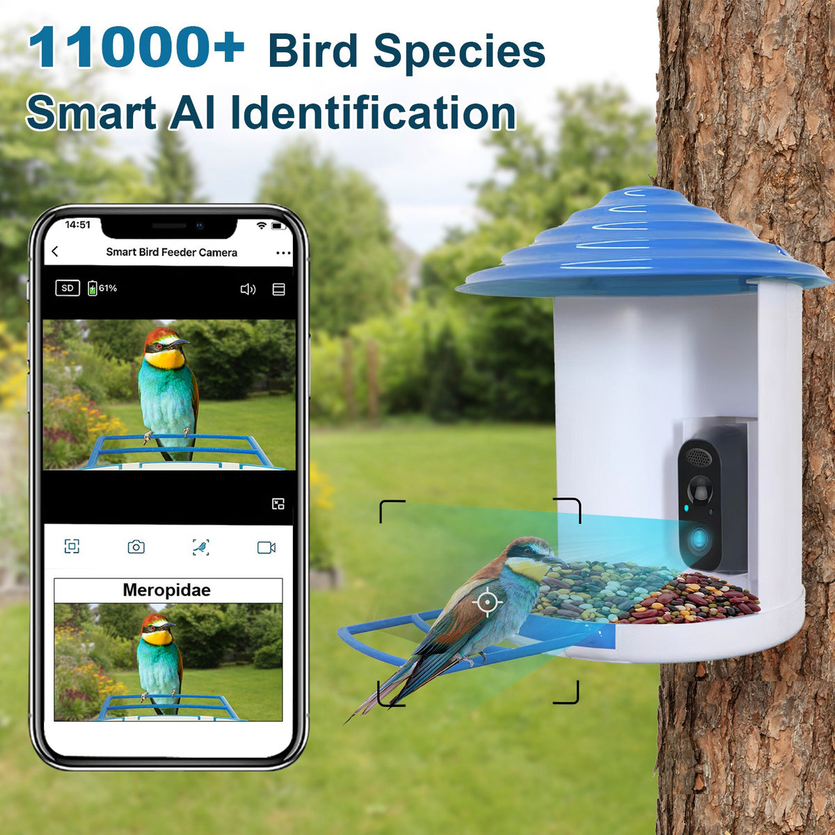 Smart Bird Feeder With Solar Powered Camera 1080P HD AI Identify PIR Motion Auto Capture Video Cloud Card Storage WiFi C