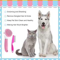 Cat Brushes For Indoor Cats, Dog Brush For Shedding With Metal Cat Comb, Self Cleaning Pet Hair Brush With Release Butto
