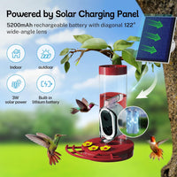 Hummingbird Feeder Camera Solar WiFi Smart AI Motion Detection 20oz