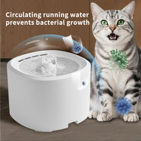 Only Self Pickup---Lodo Water Dispenser