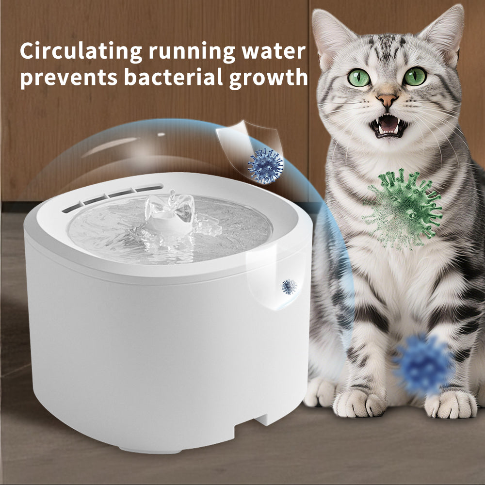 Only Self Pickup---Lodo Water Dispenser