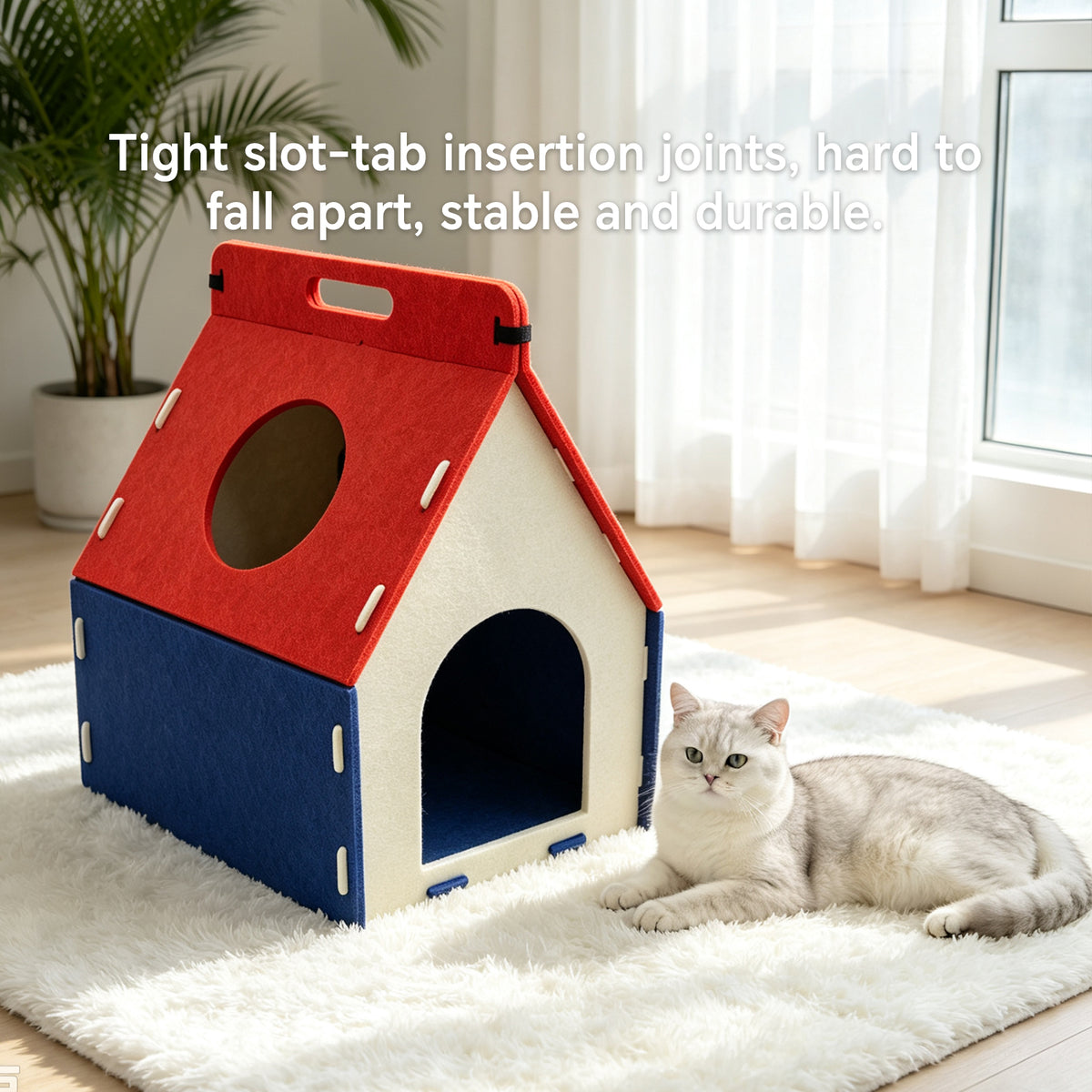 Cat Carrying A House