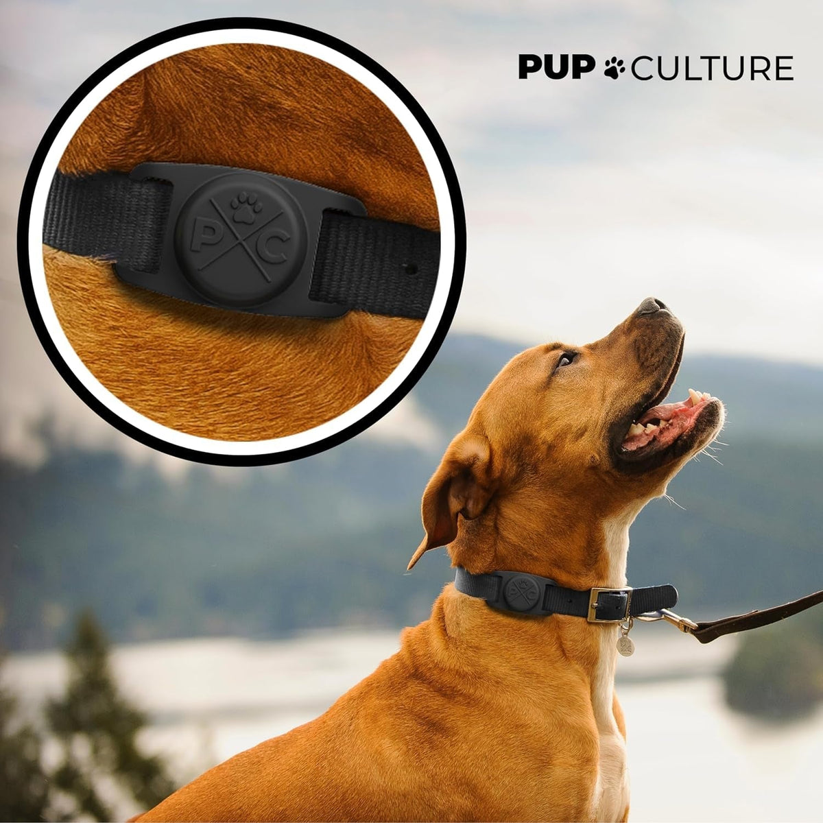 Airtag Dog Collar Holder, Extra-Durable, Lightweight, - BIG FRENCHIES