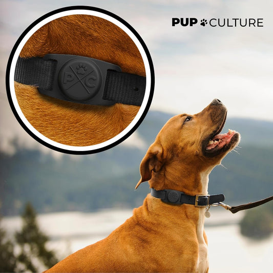 Airtag Dog Collar Holder, Extra-Durable, Lightweight, - BIG FRENCHIES