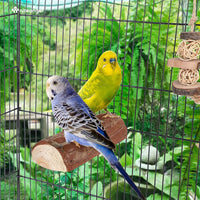 Parrot Cage Perch, Wooden Platform for Birds (2 Packs) - BIG FRENCHIES
