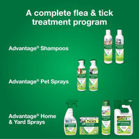 12 Oz Flea & Tick Shampoo for Puppies & Adult Dogs . - BIG FRENCHIES