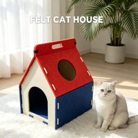 Cat Carrying A House