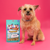 Snaggletooth Pets Freeze Dried Lamb Liver Teeny Tiny Treats for Dogs & Cats, 2.6 oz, Pack of 12