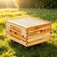 Bee Hive for Outdoor