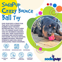 Crazy Bounce Rubber Dog Chew Toy for Power Chewers | Retrieving Ball | USA Made - BIG FRENCHIES